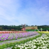 Những Địa Điểm Chụp Ảnh Đà Lạt Đẹp 2019