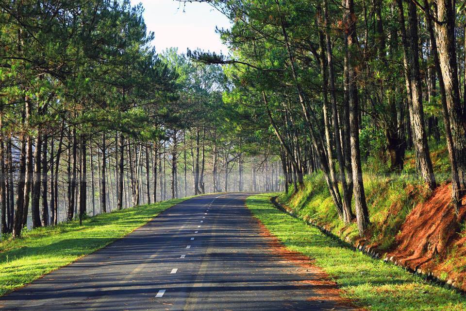 Cảnh đẹp Đà Lạt 2019 