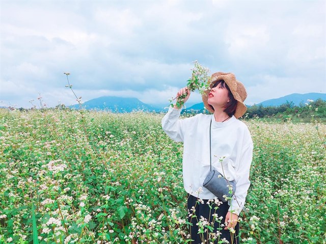 Cánh đồng hoa đẹp ở đà lạt 2019 