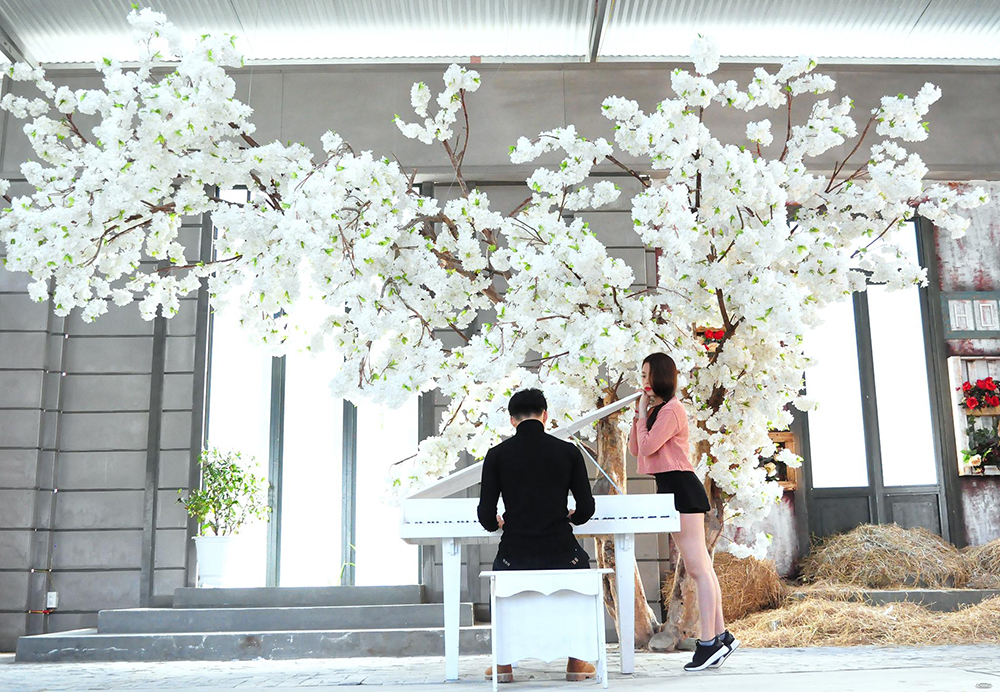 Chụp ảnh couple Đà Lạt 