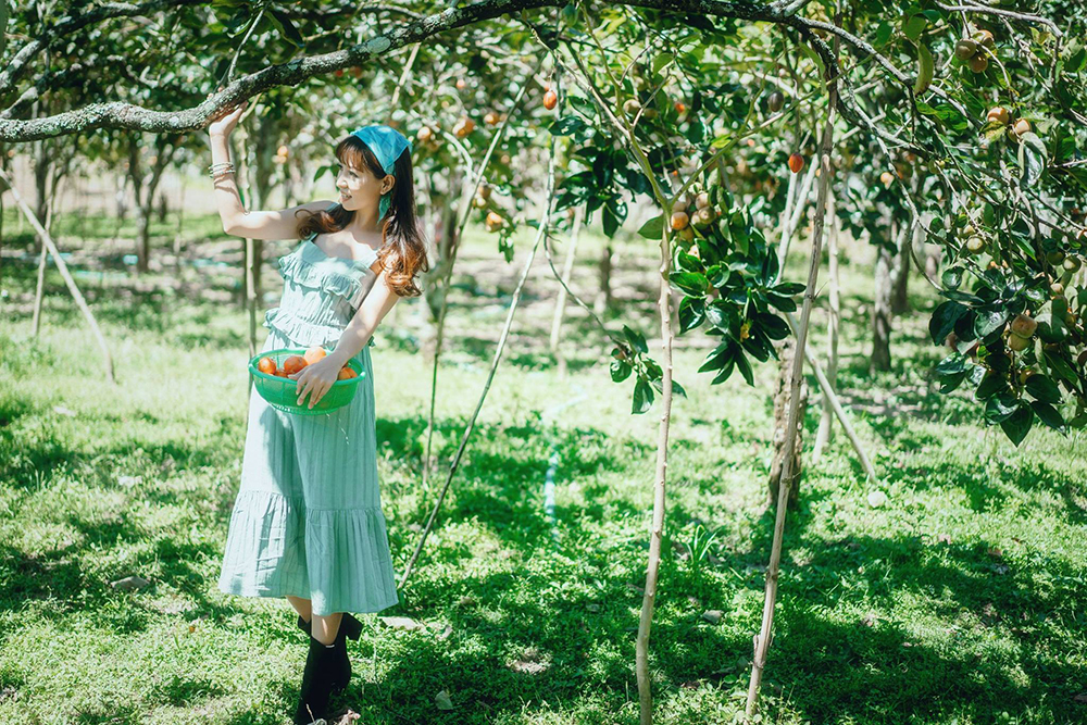 Chụp ảnh dã ngoại vườn hồng Đà Lạt 