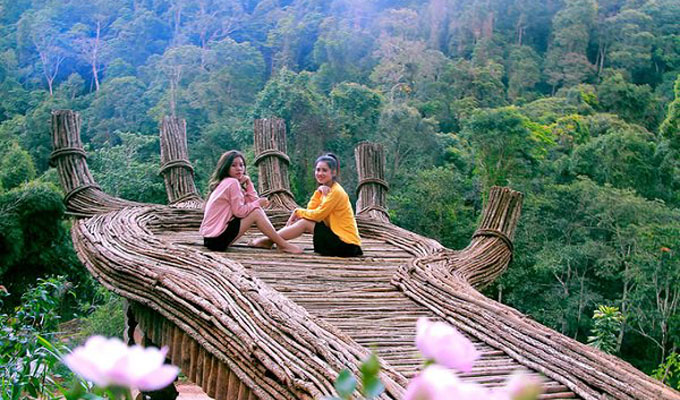 Hoa sơn điền trang Đà Lạt 